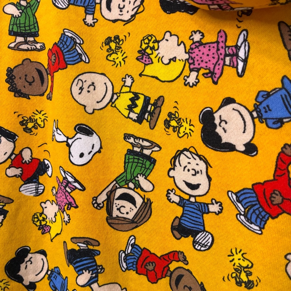 Hybrid Peanuts Hoodie Sweatshirt Mens Medium Kangaroo Pocket Graphic Print Cozy - Picture 9 of 9